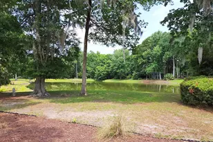 110 Redwing Ct, Pawleys Island, SC 29585 - Photo 9