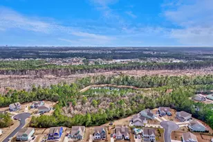 1325 Bermuda Grass Dr, Myrtle Beach, SC 29579 - Photo 39