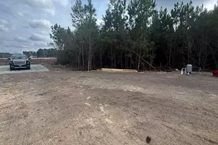 8535 Black Creek Rd, Nichols, SC 29581 - Photo 23