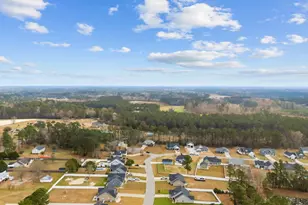 307 Purdue Ct, Galivants Ferry, SC 29544 - Photo 43