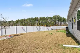 314 Box Elder Wy, Longs, SC 29568 - Photo 29