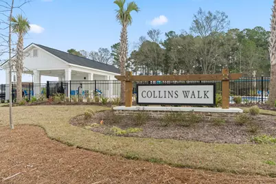 1127 Blueback Herring Way #-, Conway, SC 29526 - Photo 37