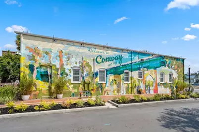 1127 Blueback Herring Way #-, Conway, SC 29526 - Photo 41