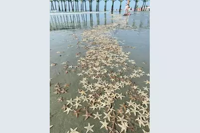 200 Double Eagle Dr. #A-2, Surfside Beach, SC 29575 - Photo 45