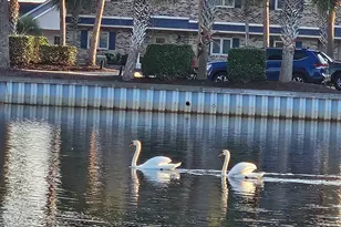 200 Double Eagle Dr, Surfside Beach, SC 29575 - Photo 47