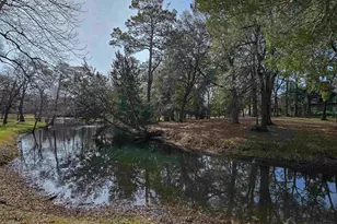 226 Westleton Dr, Myrtle Beach, SC 29572 - Photo 5