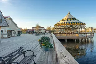 887 Hibernation Wy, Conway, SC 29526 - Photo 29