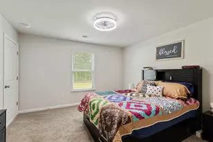 276 Country Grv Wy, Galivants Ferry, SC 29544 - Photo 15