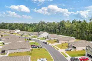 276 Country Grv Wy, Galivants Ferry, SC 29544 - Photo 29