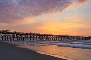 403 Lumber River Rd, Myrtle Beach, SC 29588 - Photo 55