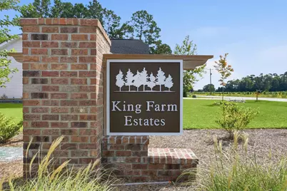 3039 Gadwall Dr., Aynor, SC 29511 - Photo 43