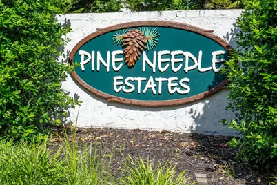 505 Whitebark St., Longs, SC 29568 - Photo 47