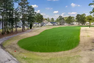 4177 Charleston Oaks Dr, Loris, SC 29569 - Photo 45