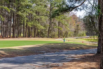 4177 Charleston Oaks Dr, Loris, SC 29569 - Photo 47