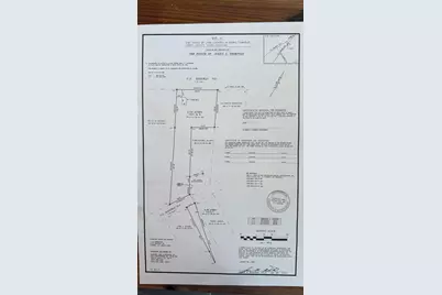 Tbd Highway 701 South, Conway, SC 29527 - Photo 9