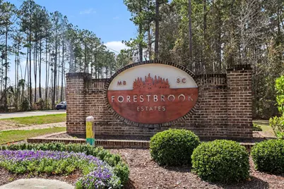 746 Harrison Mill St., Myrtle Beach, SC 29579 - Photo 33