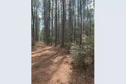 0 School Bus Rd, Jamestown, SC 29453 - Photo 5