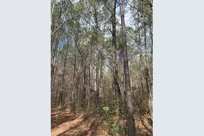 0 School Bus Rd, Jamestown, SC 29453 - Photo 11