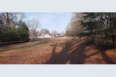 Lot 2 B&c Browns Creek Rd., Latta, SC 29565 - Photo 3