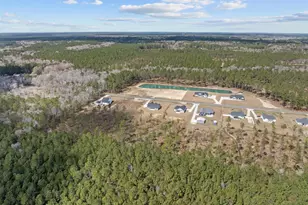 6933 Pauley Swamp Rd, Conway, SC 29527 - Photo 49