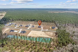 6933 Pauley Swamp Rd, Conway, SC 29527 - Photo 7