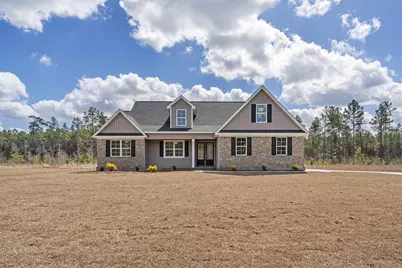 6933 Pauley Swamp Rd., Conway, SC 29527 - Photo 1