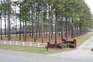 427 Berley Mc Rd, Conway, SC 29526 - Photo 57