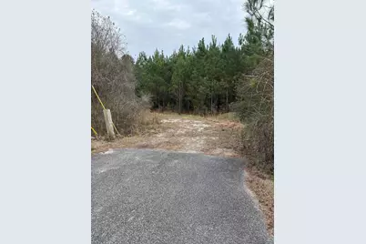 Tbd Turkey Pen Rd., Longs, SC 29568 - Photo 3