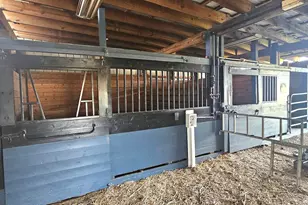 181 Halfway Rd, Nichols, SC 29581 - Photo 65