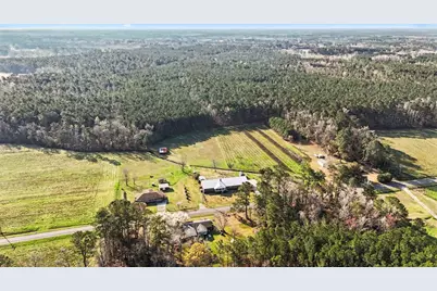 436 Tanner Rd., Hemingway, SC 29554 - Photo 41