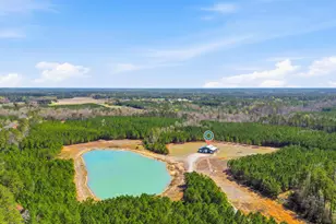 7299 Cartrette Rd, Aynor, SC 29511 - Photo 51