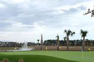 1589 Littleleaf Loop, North Myrtle Beach, SC 29582 - Photo 37