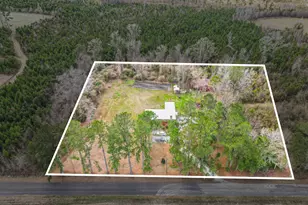 1225 Muddy Creek Rd, Johnsonville, SC 29555 - Photo 23