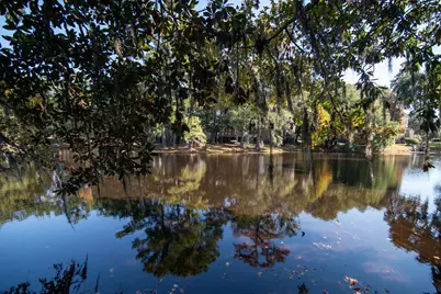 117 Finch Dr. #272, Georgetown, SC 29440 - Photo 43