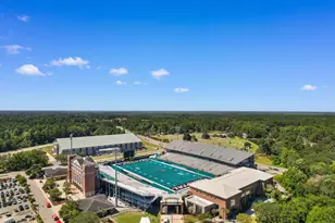 313 Basswood Ct, Conway, SC 29526 - Photo 55