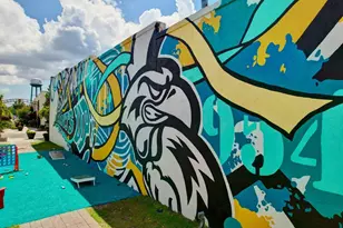 313 Basswood Ct, Conway, SC 29526 - Photo 51