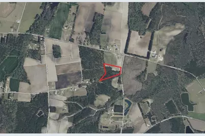 Tbd Johnson  Rd., Galivants Ferry, SC 29544 - Photo 9