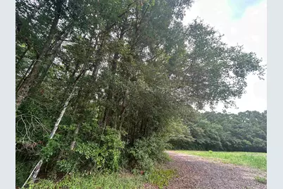 Tbd Johnson  Rd., Galivants Ferry, SC 29544 - Photo 5