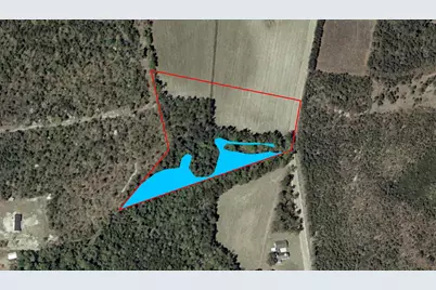 Tbd Johnson  Rd., Galivants Ferry, SC 29544 - Photo 7