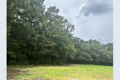 Tbd Johnson  Rd., Galivants Ferry, SC 29544 - Photo 1
