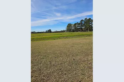 173 River Birch Dr., Loris, SC 29569 - Photo 37