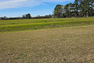 173 River Birch Dr, Loris, SC 29569 - Photo 37