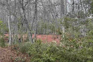 5400 Little River Neck Rd, North Myrtle Beach, SC 29582 - Photo 13