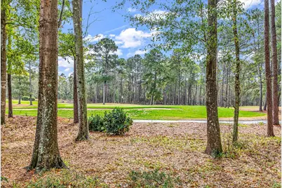 28 Thrasher Ct., Pawleys Island, SC 29585 - Photo 7