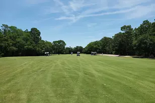 28 Thrasher Ct, Pawleys Island, SC 29585 - Photo 53