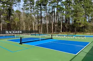 6486 Longwood Dr, Murrells Inlet, SC 29576 - Photo 59