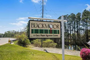 5786 Longwood Dr, Murrells Inlet, SC 29576 - Photo 39