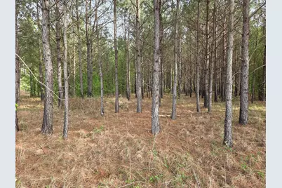 5328 County Line Rd., Andrews, SC 29510 - Photo 3