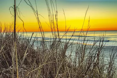 9760 Leyland Dr. #8, Myrtle Beach, SC 29572 - Photo 29