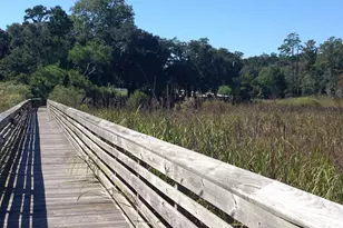 Lot 142 Millbank Rd, Georgetown, SC 29440 - Photo 21